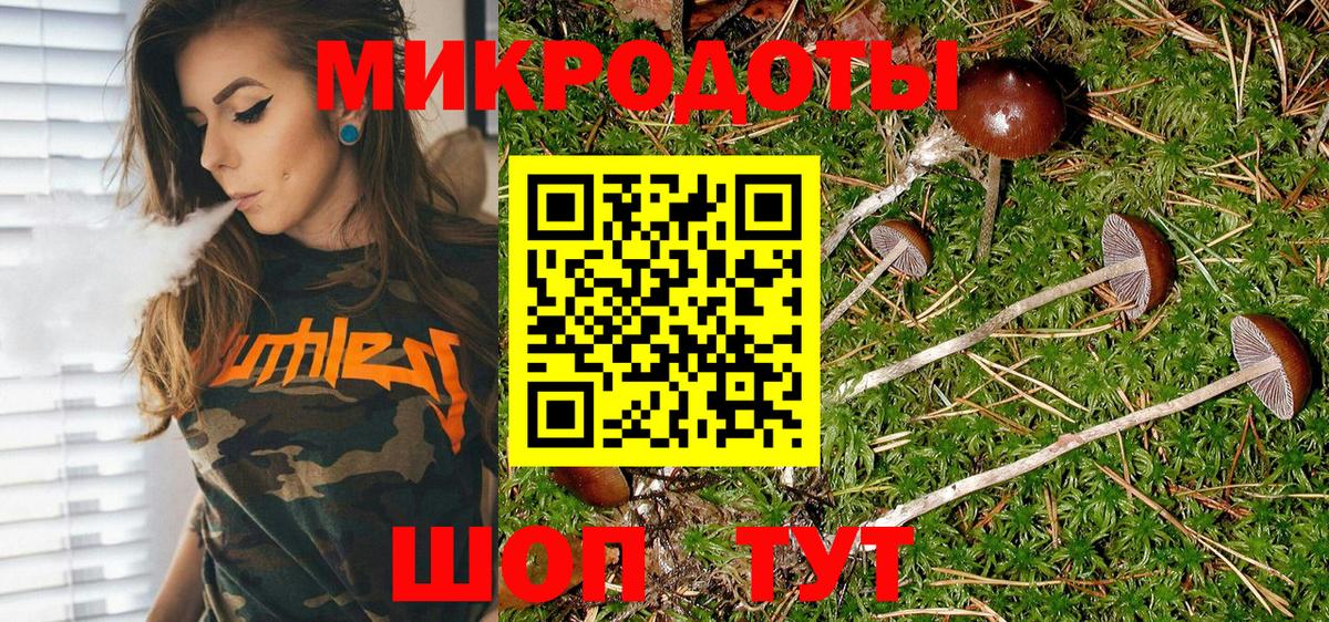 Псилоцибиновые грибы Magic Shrooms Вышний Волочёк